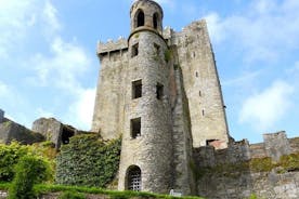 Bahnfahrt von Dublin nach Cork und Blarney Castle