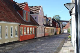 Aalborg panoramic view.