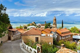 Excursion privée d'une journée dans la région viticole de Kakheti avec dégustation de vins