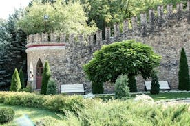 Visita a la bodega Milestii Mici con cata de vinos