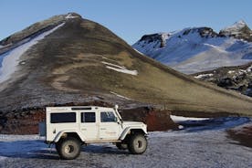 Iceland: Landmannalaugar ecotour with PhD guide