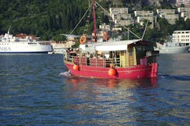 Blue Cave and caves Discovery Dubrovnik - Group Tour by Boat 