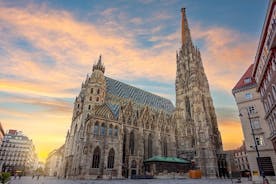 Traslado privado desde Múnich a Viena con 4 horas de turismo.