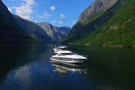 Cruzeiro privado para Sognefjord, Flåm e Nærøyfjord