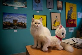 Toegangsticket voor het Kattenmuseum Boedapest