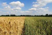 Voitures à louer à Vechta, en Allemagne