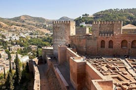 Alhambra Complex & Nasrid Palaces Exclusive Tour með leiðsögn (sleppa línunni)