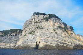 Excursión en yate a Cinque Terre