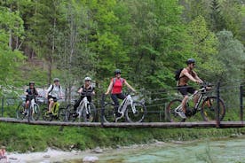 Aluguel de bicicletas elétricas na Eslovênia