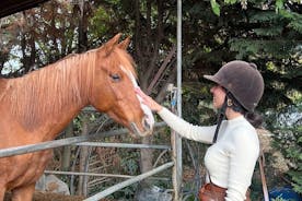 Percorso a cavallo delle colline toscane con partenza da Siena