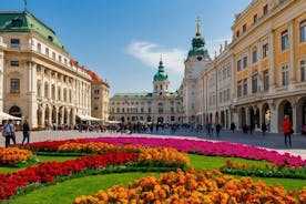 Transfer fra Salzburg til Wien: Privat dagstur med 2 timer til sightseeing