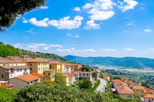 Cortona