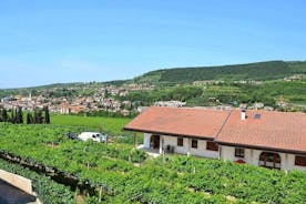 Valpolicella - il paradiso del vino