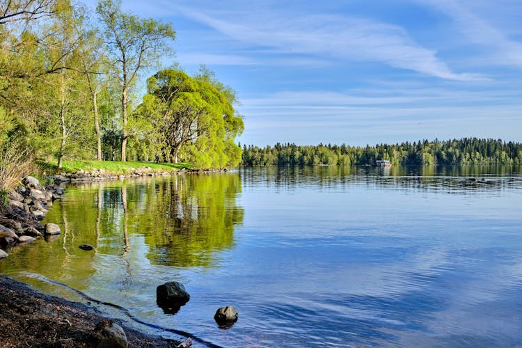 Photo of Arboretum late spring view in Tampere.