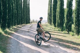 E-cykeltur och vinprovning från San Gimignano