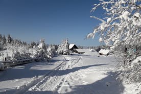 Caminata privada de 1 día con raquetas de nieve en las montañas Gorce, cerca de Cracovia