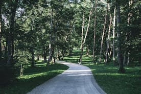 Fuga a pé em Trakai National Park