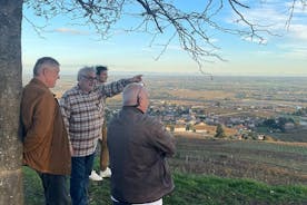 Tour privato del vino Beaujolais con pranzo in un ristorante stellato Michelin