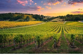 Full Day Grape Escape to Alsace wine route via Strassbourg