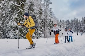 Passeio com raquetes de neve no Winter Wonderland - Oslo