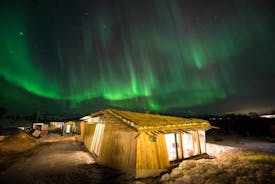 Bezoek aan het noorderlicht en de husky's