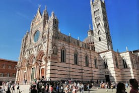 Visita guiada a Siena com catedral e cripta e museu opcionais