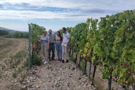  Vinprovningstur i Tokaj vinregion Slovakien