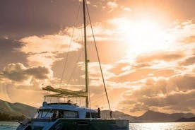 Excursion d'une journée en yacht en catamaran Naxos Grèce