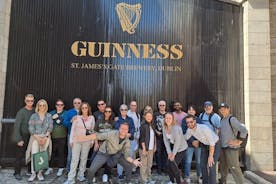 Spring køen over Guinness Storehouse & Book of Kells Icon Tour
