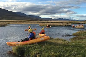 Visita guidata al Top Kayak Tour