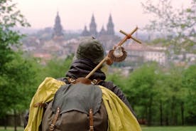 Tour privato di Santiago de Compostela di un'intera giornata da Vigo, escursione a terra