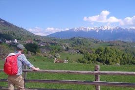 Trek dos Cárpatos de 4 Dias: Montanhas Bucegi e Parque Nacional Piatra Craiului
