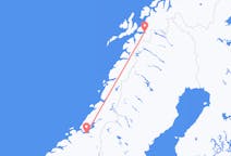 ノルウェーのナルビクから、ノルウェーのトロンハイムまでのフライト