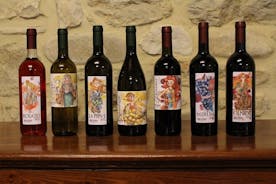ブルニョーニ ワイナリーへのプライベート訪問と 4 種類のワインの試飲