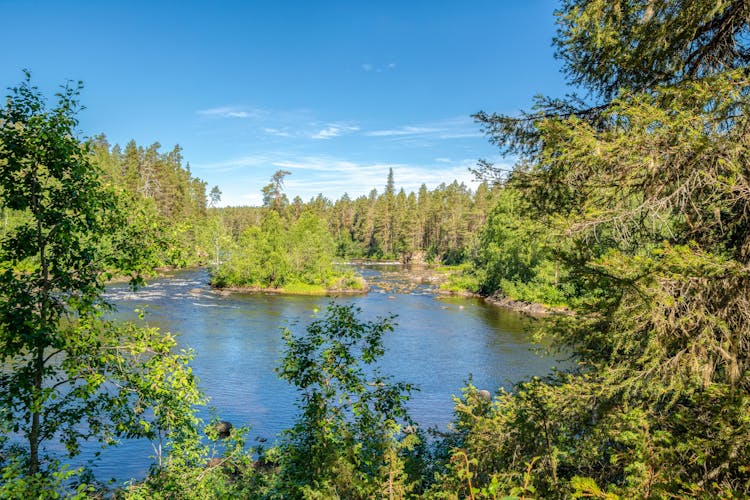 Photo of view to Oulankajoki River from the walking trail, Oulanka National Park, Kuusamo.