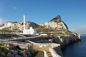 Gibraltar och Dolphins Cruise Dagstur från Costa del Sol