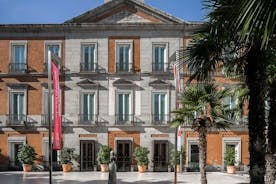 Madrid Private Walking Tour of Thyssen and Reina Sofia Museums