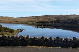 Giant's Causeway Tour including Game of Thrones Sites from Belfast