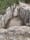 Dolmenes de Artajona, Artajona, Navarre, Spain