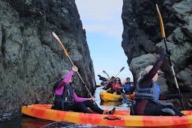 Havskajakpaddling runt Bray Head