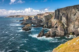 Cork City에서 출발하는 Ring of Kerry & Killarney 투어. 안내. 하루 종일.