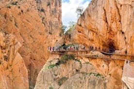 Caminito del Rey con Recogida en Málaga Ciudad