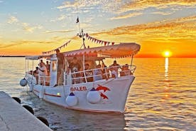 Safari guiado con delfines de 2 horas en el Parque Nacional Brijuni desde Fazana con cena