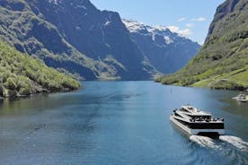 Visite guidée privée - Croisière Premium Nærøyfjord et chemin de fer de Flåm