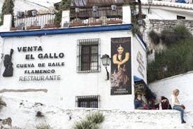 Granadas skjulte skatter: Albayzin og Sacromonte Walking Tour