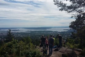 Passeios na natureza de Oslo: Forest to Fjord