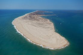 Ria Formosa : Passeio de 3h00 com paragem na Ilha da Culatra e Ilha da Armona 