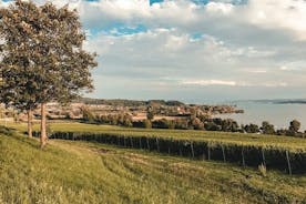 Verken Konstanz in 1 uur met een local