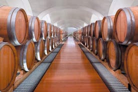 Besichtigung des Weinkellers der Feudi di San Gregorio da Sorrento