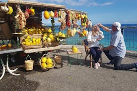 Tour Privato Intera Giornata - Positano Amalfi Ravello o Sorrento